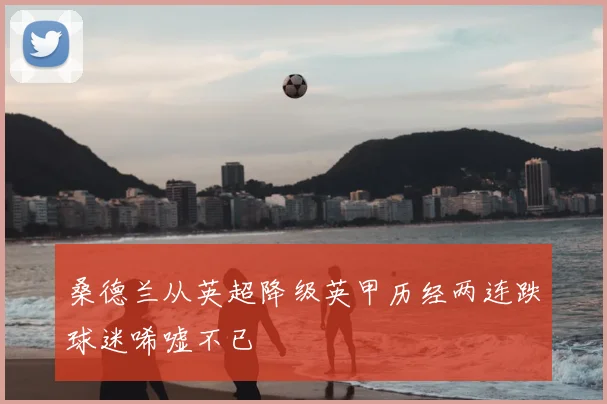 桑德兰从英超降级英甲历经两连跌球迷唏嘘不已